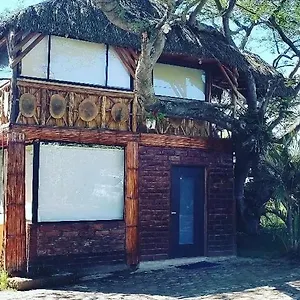 Casa Del árbol Bed and breakfast